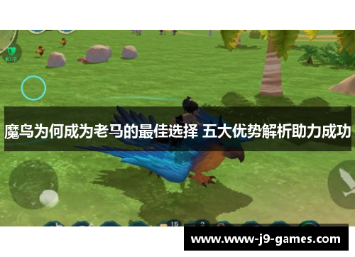 魔鸟为何成为老马的最佳选择 五大优势解析助力成功