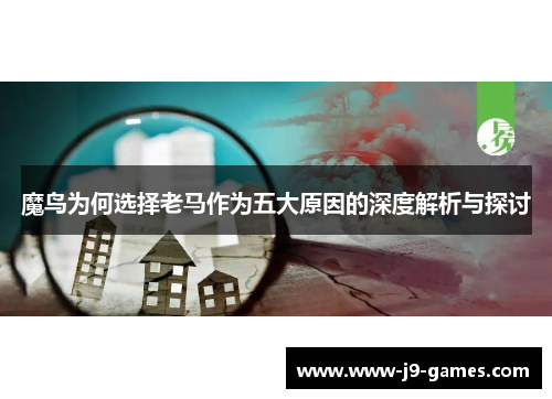 魔鸟为何选择老马作为五大原因的深度解析与探讨